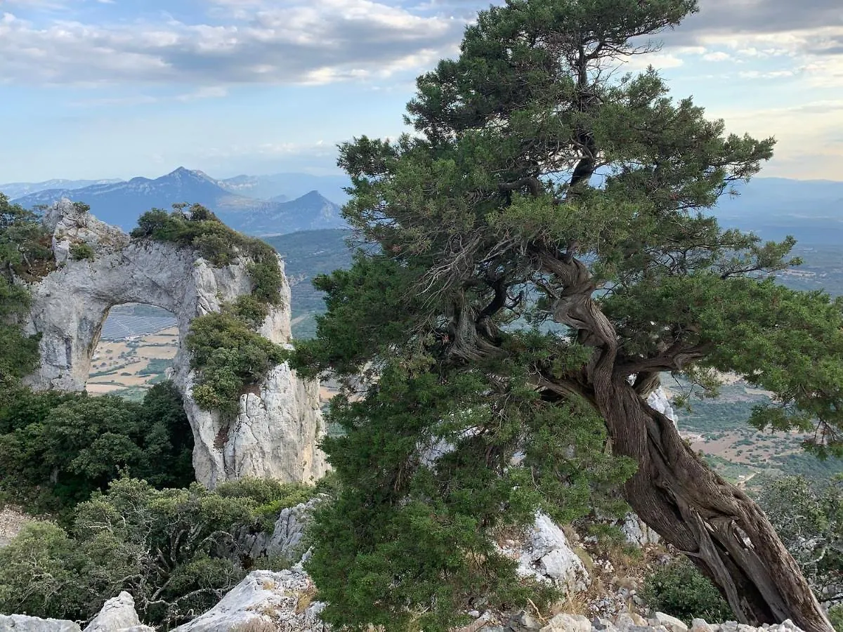 Sa Domu E Muru Galtellì 意大利